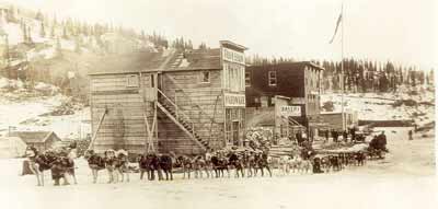 50 dogs pulling a sled in downtown Chitina