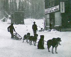 4 dogs and a sled in the snow